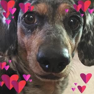 Meet your Posher, Cheri